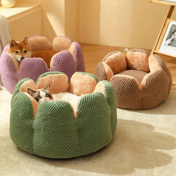 Cozy cactus-shaped pet beds in various colors, ideal for cats and small dogs, providing comfort and warmth.