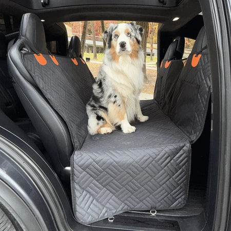 A car back seat extender for dogs with an Australian Shepherd sitting on the spacious quilted cover