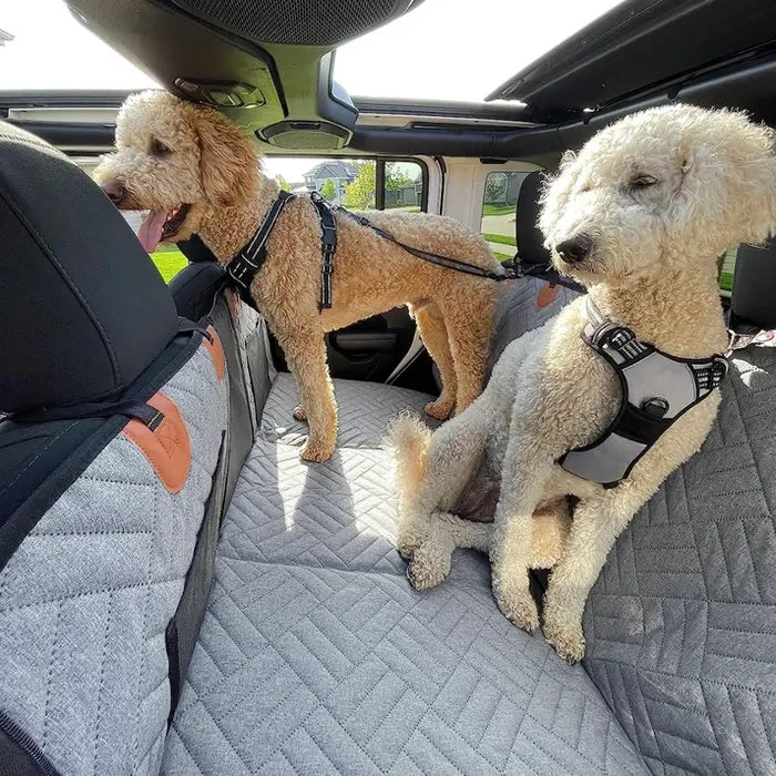 Two dogs sitting on a hard bottom back seat cover in a car