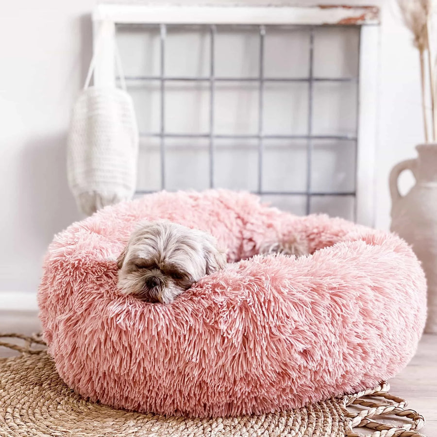 small dog sleeping curled up in a pink small round dog bed