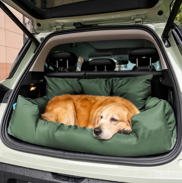 Dog lying on a green pet car bed in the back of a car
