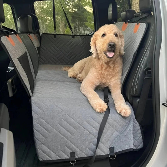 Dog sitting on a cover for back seat, providing vehicle seat protection during car rides