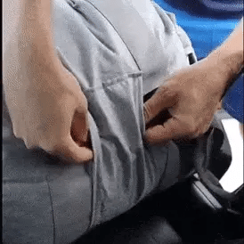 dog front car seat with safety belt clipped to harness