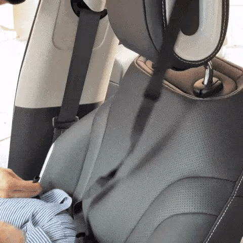 dog booster seat car showing built in safety strap for secure travel