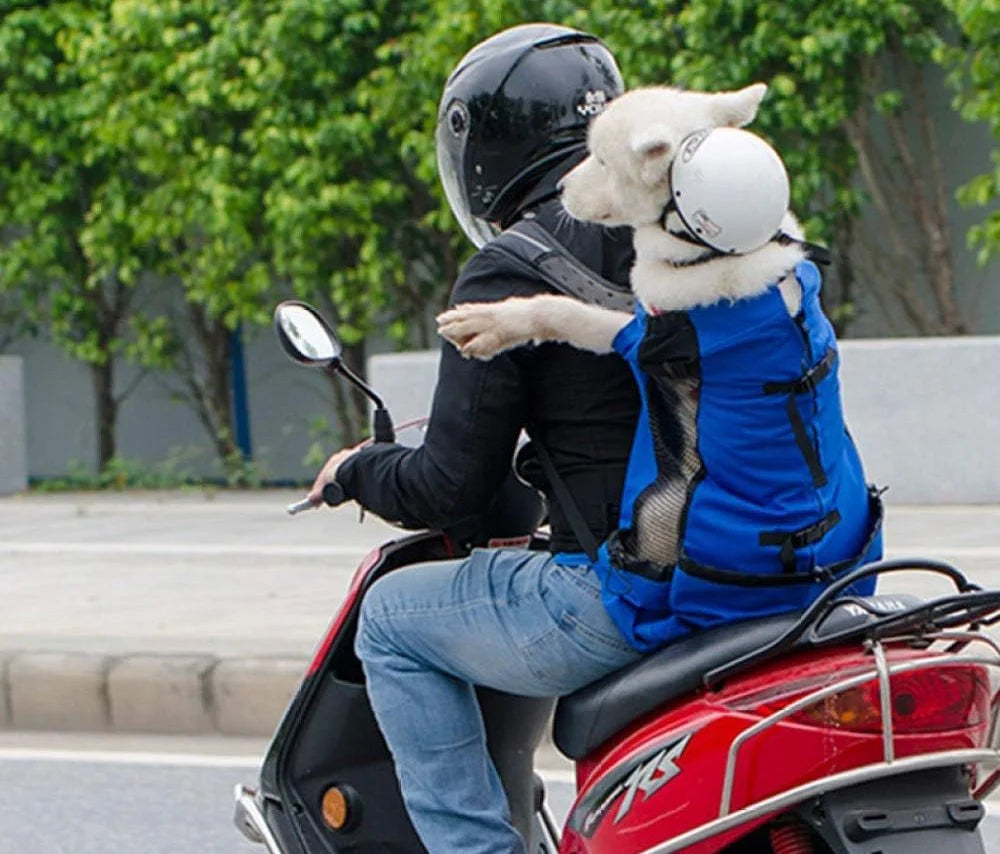 Dog in a blue carrier backpack, riding a motorcycle with its owner, showcasing secure and stylish pet travel gear.