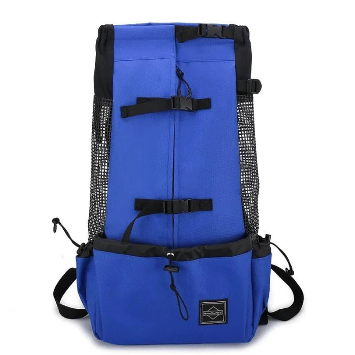 Blue pet carrier backpack with secure buckles and mesh sides for breathability, ideal for traveling with small pets.