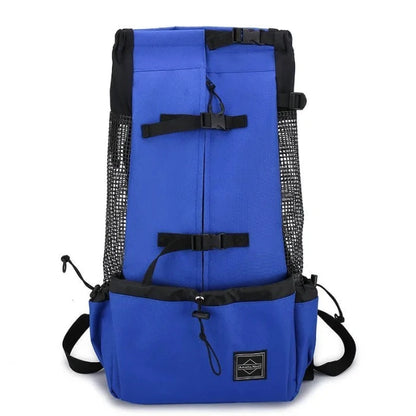 Blue pet carrier backpack with secure buckles and mesh sides for breathability, ideal for traveling with small pets.