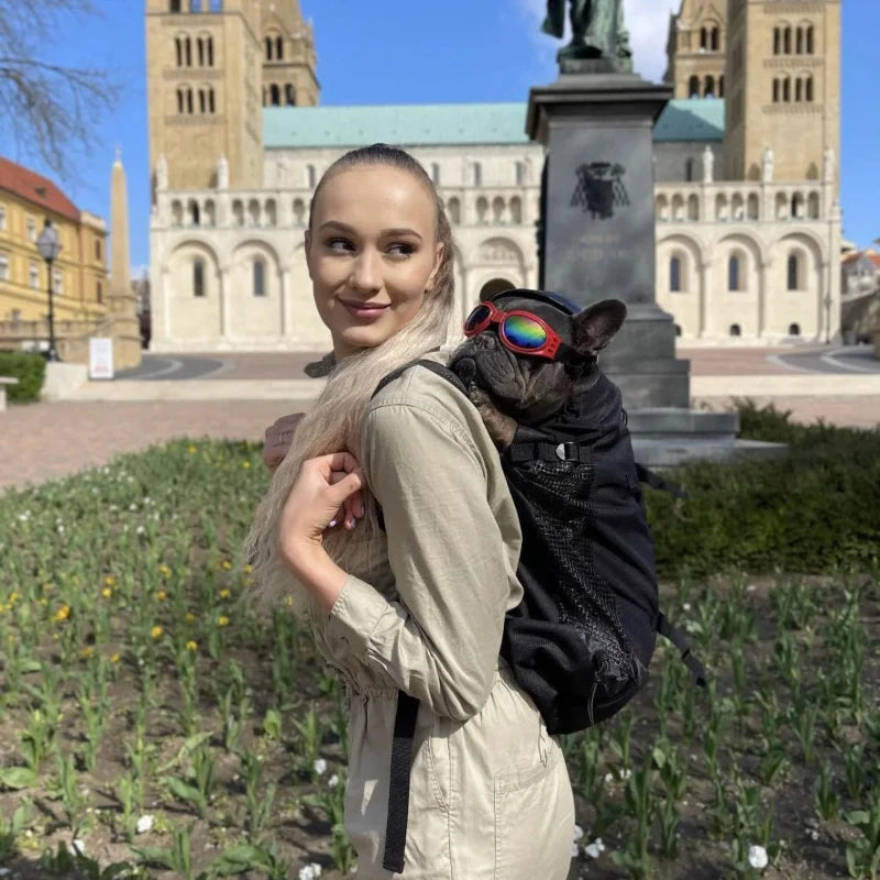 French Bulldog wearing sunglasses in a stylish dog carrier backpack, perfect for travel and outdoor adventures with pets.