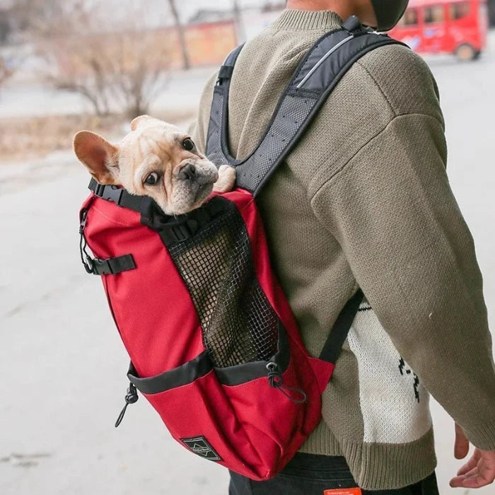 French Bulldog comfortably riding in a red dog carrier backpack, ideal for pet owners on the go and outdoor adventures.