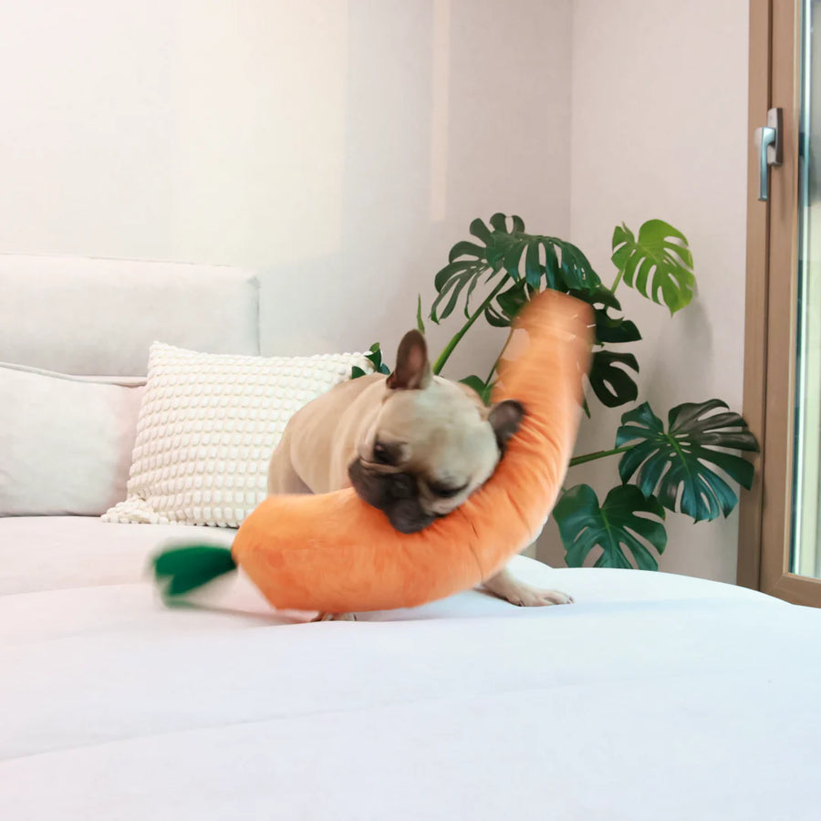 french bulldog playing with a large stuffed carrot dog toy on a white bed