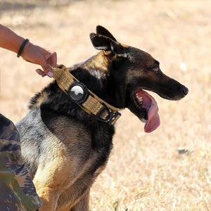 Military tactical dog collar on a large dog outdoors with a round airtag holder and secure buckle