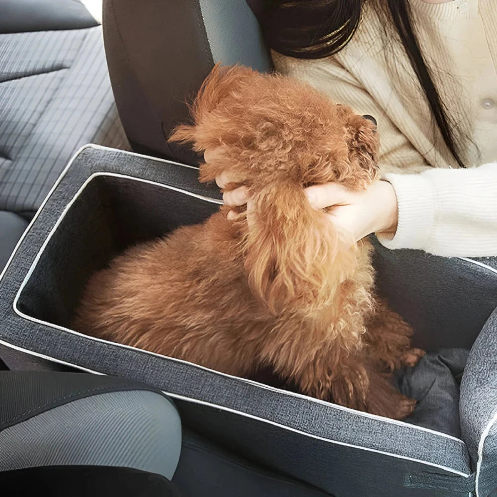 A dog sits in a dog carrier for car console and a person hugs it