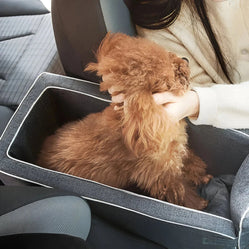 A dog sits in a dog carrier for car console and a person hugs it