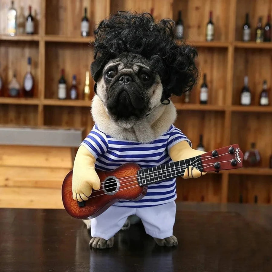 Pug rocker costume with a curly wig and mini guitar on a bar counter