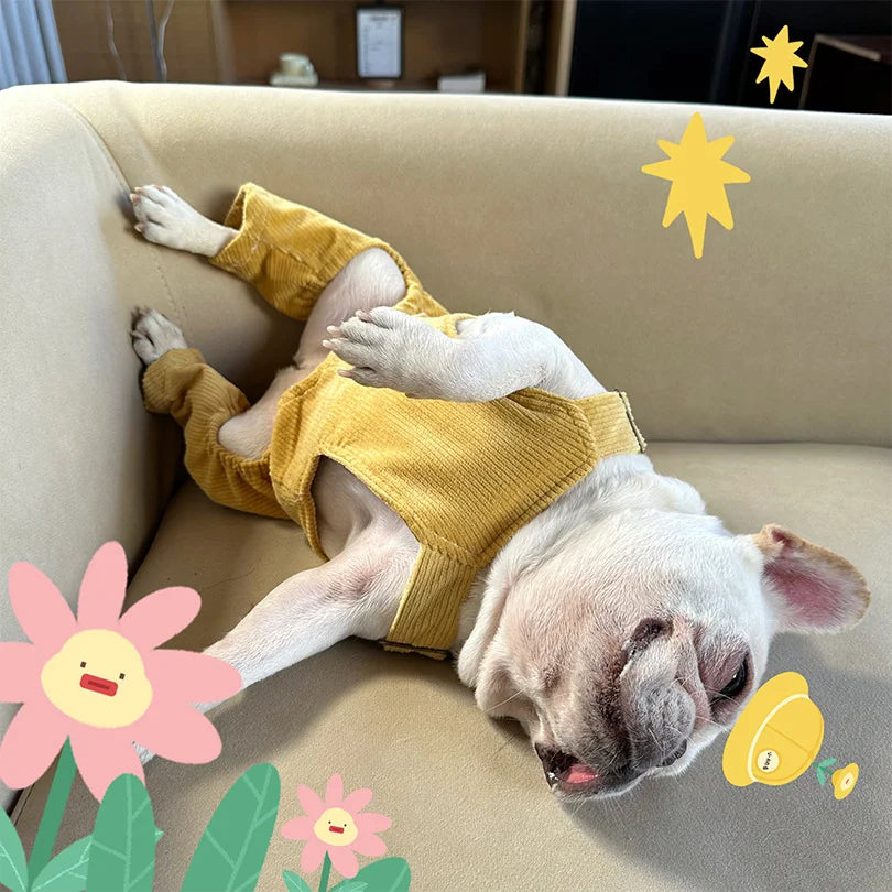 French bulldog relaxing on a sofa in a yellow farm style dog costume