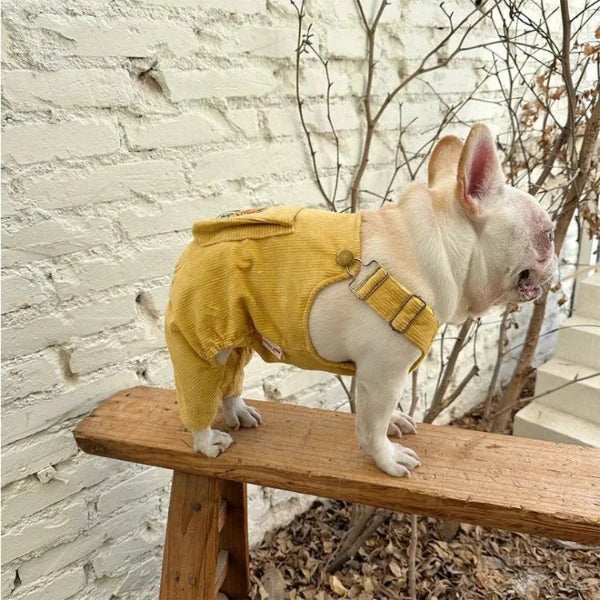 French Bulldog wearing a stylish yellow farmer jumpsuit, perfect for a trendy and cozy outdoor dog outfit.