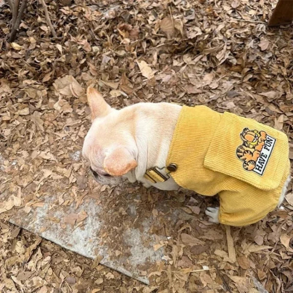 Top view of a French Bulldog in a yellow farmer jumpsuit with 'Have Fun' patch, perfect for playful outdoor adventures.