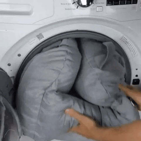 medium size dog seat for car being placed into a washing machine