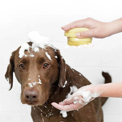 Dog shampoo brush dispenser used on a brown wet dog in the bath