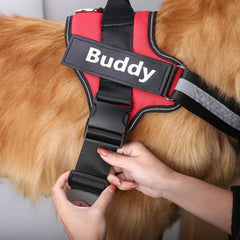 Hands fastening a reflective harness for dogs with a name patch