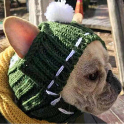 French bulldog ear hat in green knit with white pom-pom outdoors