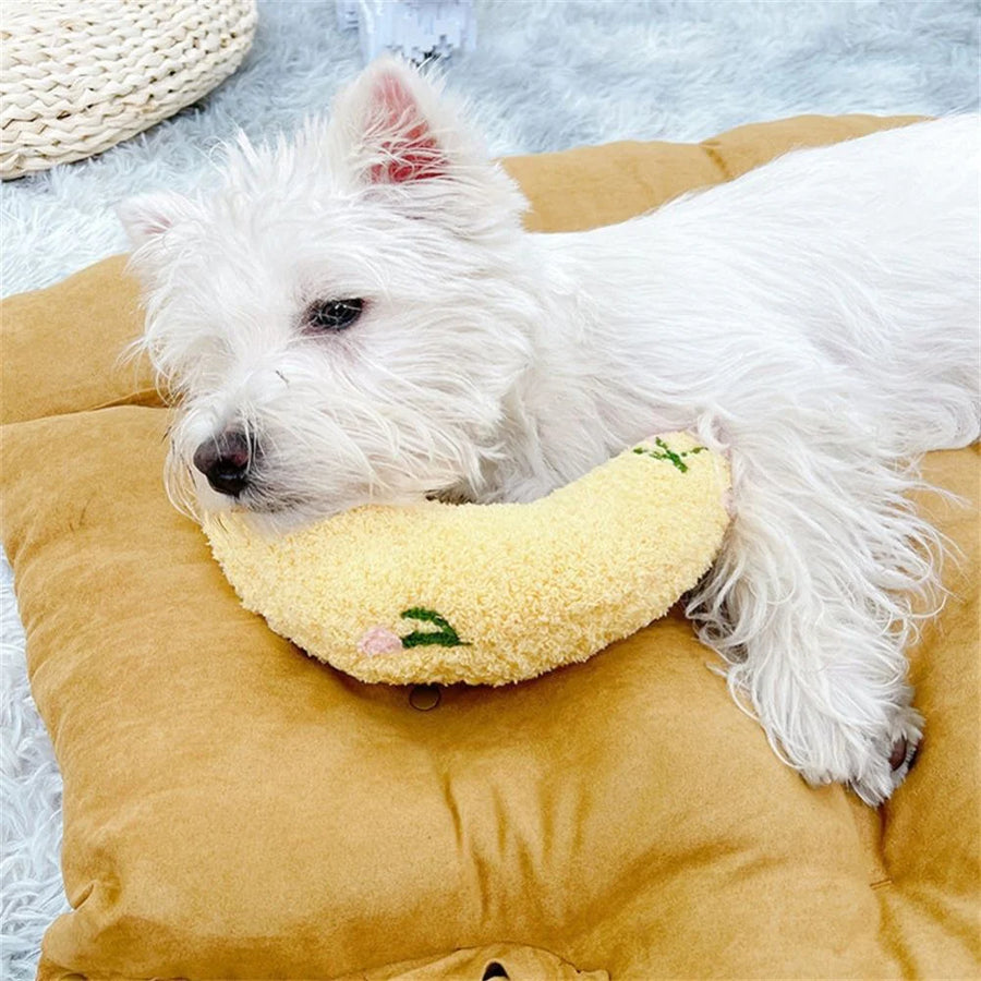 a small white dog resting with a banana plush as a pillow for dogs head