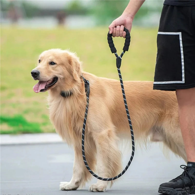 Rope leash for large dogs held by a walker next to a golden retriever outdoors