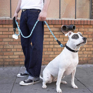 Heavy duty dog leash for pitbulls held by a person with a white dog wearing a black collar outdoors