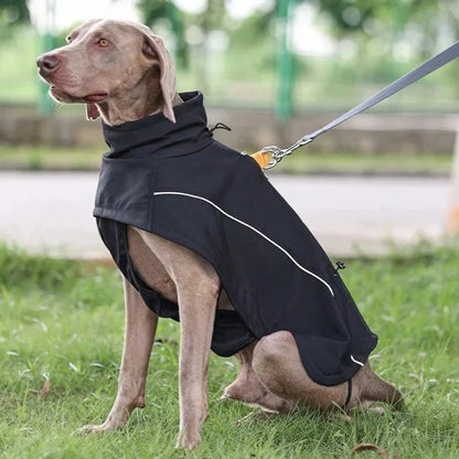 Large dog wearing a black outdoor coat with reflective strips, sitting on grass, perfect for walks in low light conditions.