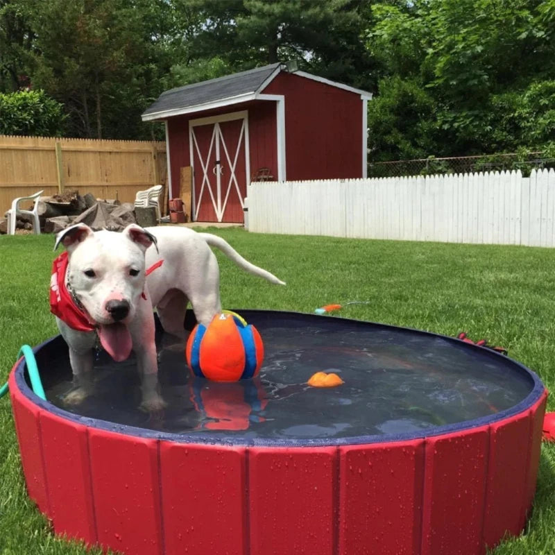 A dog standing in a large foldable dog pool in a backyard