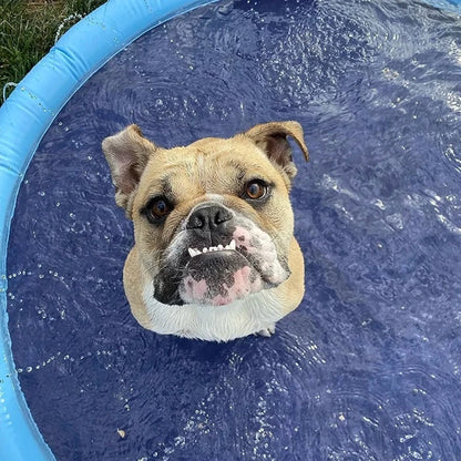 Bulldog cooling off in a Dog Pool with Sprinklers, a fun way to keep pets refreshed during hot summer days.