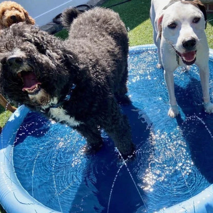 Two happy dogs splashing in a blue dog pool with sprinklers, enjoying a fun day in the sun.