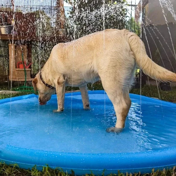 Dog enjoying water fun in a blue dog pool with sprinklers, ideal for cooling off on hot summer days.