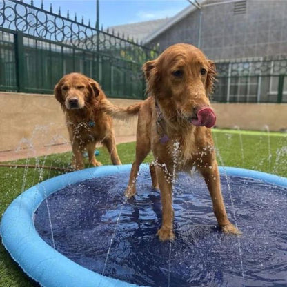 Two golden retrievers enjoying playtime in a blue dog pool with sprinklers for outdoor fun and cooling off in summer.