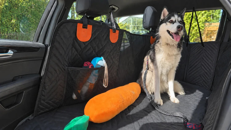 Happy Husky on a quilted dog car seat cover with a carrot-shaped plush toy and pet travel accessories