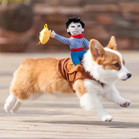 Cowboy on dog costume on a corgi running outdoors