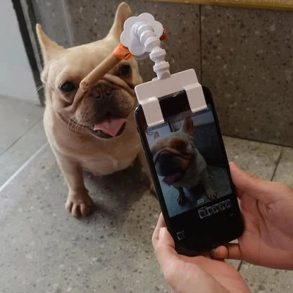 Dog selfie stick setup with a French Bulldog posing for a picture, capturing adorable pet moments.