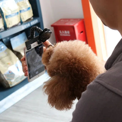 Using the dog selfie stick to capture the perfect shot with a fluffy dog focused on a treat attached to the phone.