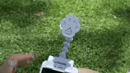 Hand placing treats into a dog treat selfie stick attached above a phone