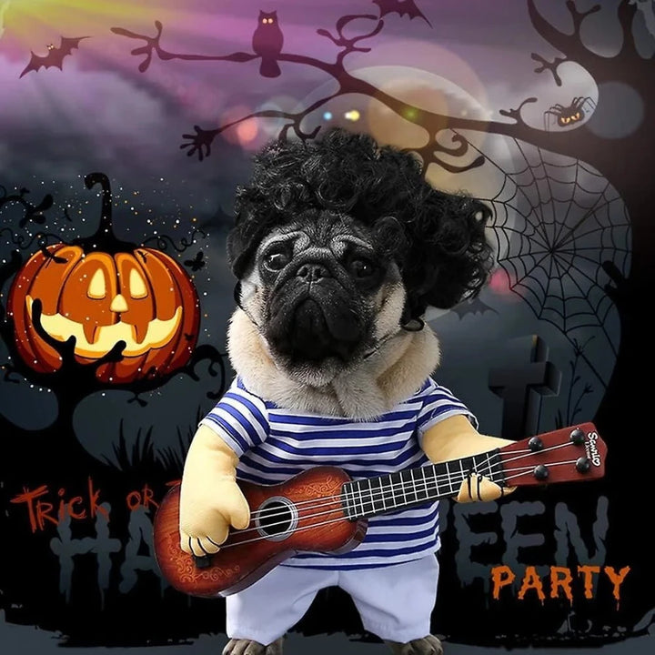 Pet guitarist outfit on a pug with curly wig and mini guitar in a halloween party backdrop