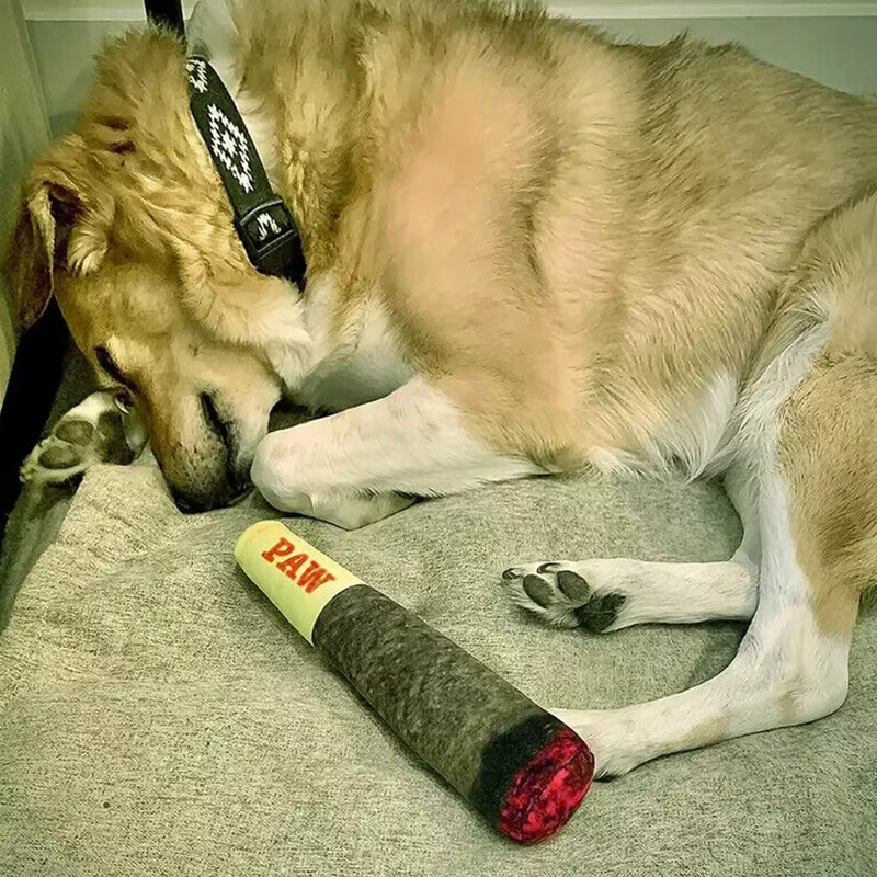 Dog sleeping next to the Splif dog toy with a joint-inspired design, ideal for chewing and playtime.