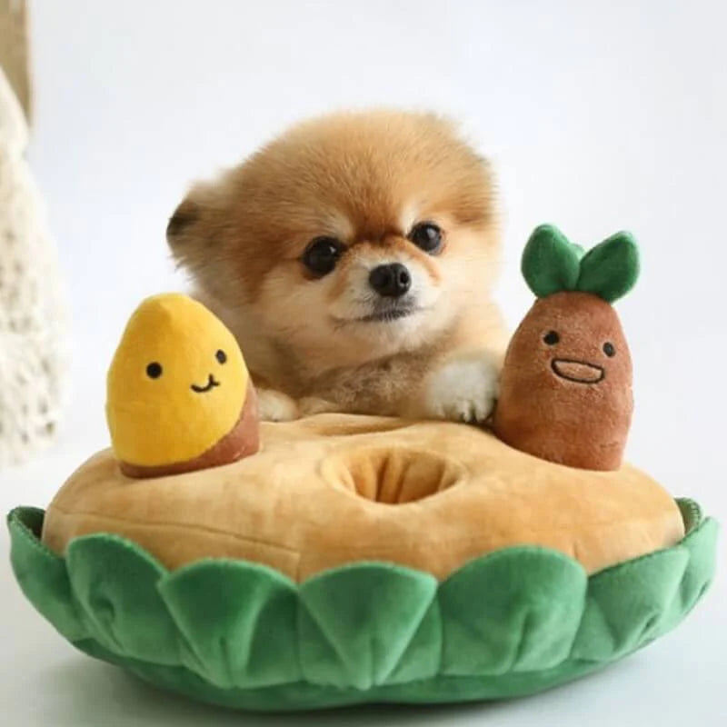 small dog sitting with a dog sniffing toy and removable plush potato pieces