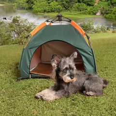 Small dog relaxing in a pet outdoor tent on the grass by the lake