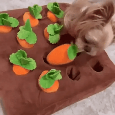 carrot farm toy for dogs as a small dog takes out a plush carrot and tosses it away