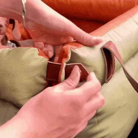 hands fastening the safety strap on a travel dog car seat bed with a dachshund inside