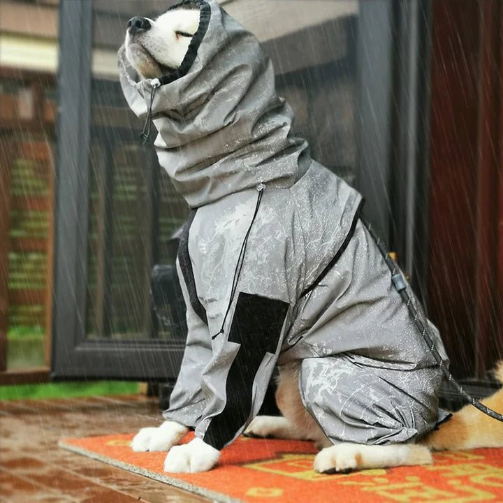 Dog wearing a waterproof reflective coat in the rain, perfect for outdoor protection and comfort in wet weather.