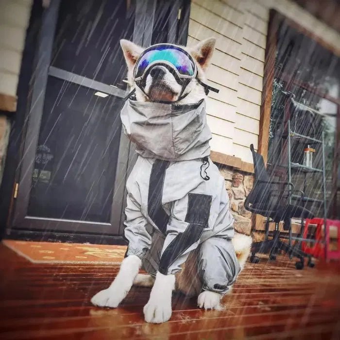 Dog wearing a waterproof coat with reflective design and protective goggles, ready for rainy weather adventures.