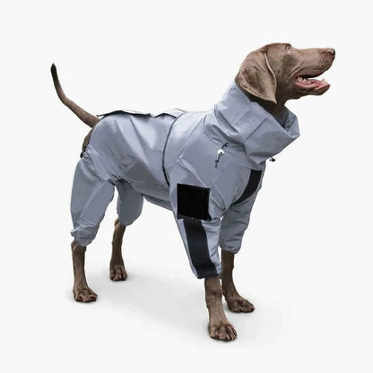 Large dog wearing a gray waterproof reflective coat, offering full-body protection from rain and cold for outdoor activities.