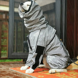 Waterproof coat for dogs worn by a husky sitting in the rain outdoors