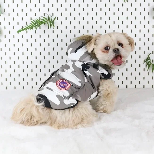 Small dog wearing a camouflage winter coat with fur hood, perfect for cold weather protection and style.